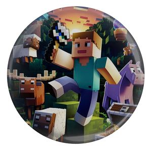 مگنت مدل بازی ماینکرافت Minecraft کد S15184