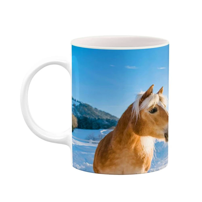 ماگ کاکتی مدل اسب کد mgh24285