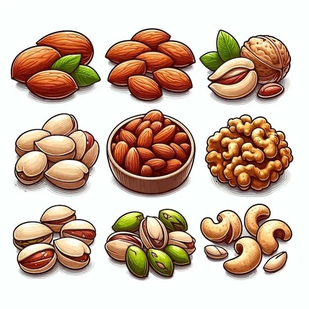 برچسب طرح آجیل کد 442