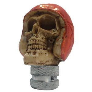 سردنده مدل اسکلتی کلاه کاسکت دار 