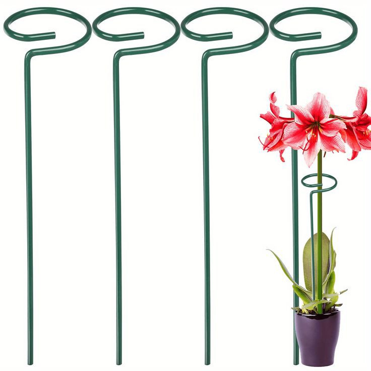 نگهدارنده مدل قیم گل مجموعه 4 عددی