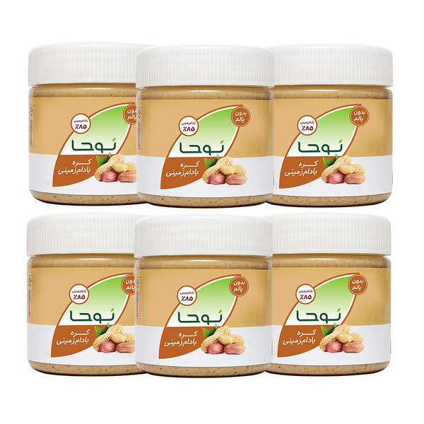 کره بادام زمینی ساده نوحا ساده - 250 گرم بسته 6 عددی