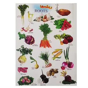 برچسب مدل ریشه ها کد BRH1