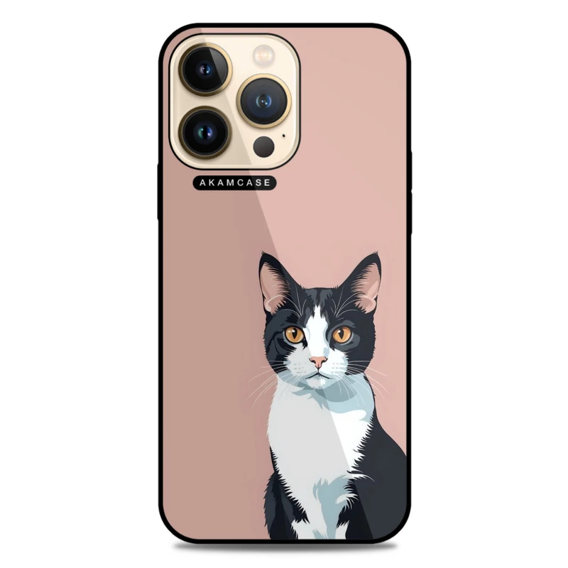 کاور آکام مدل AMC-WA13PRO-CATS-41 مناسب برای گوشی موبایل اپل iPhone 13 Pro