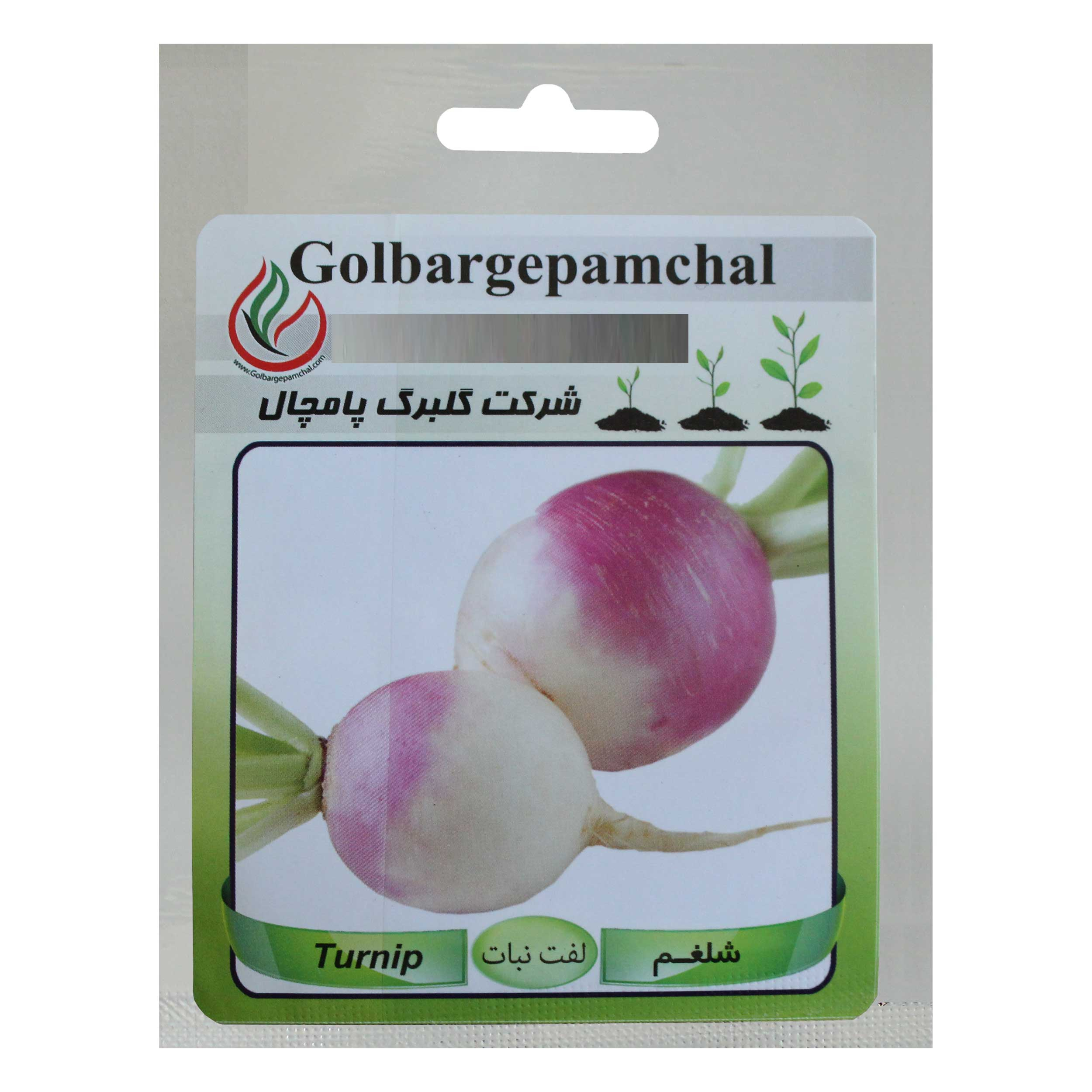 بذر شلغم گلبرگ پامچال کد GPF-118