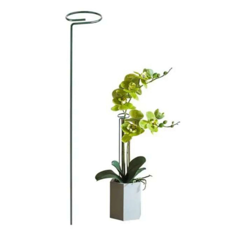 نگهدارنده گیاه برگ انجیری مدل a-1200 بسته 5 عددی