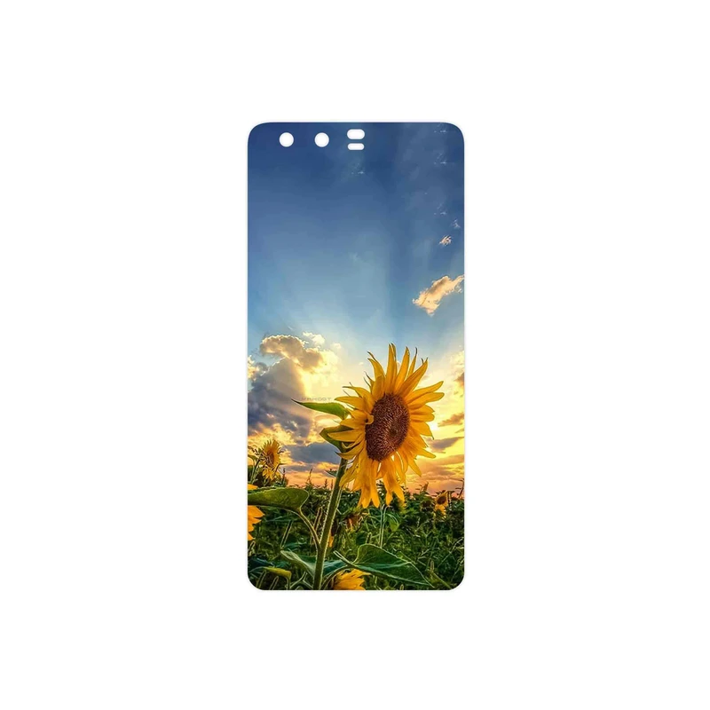 برچسب پوششی ماهوت مدل Summer Season مناسب برای گوشی موبایل هوآوی P10
