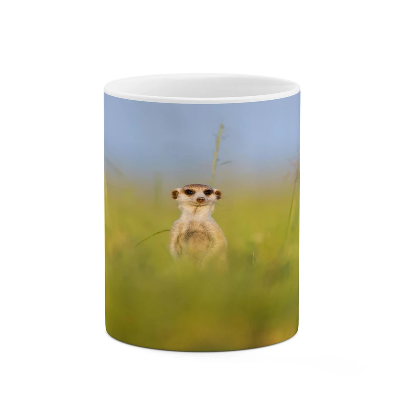 ماگ کاکتی مدل سمور کد mgh17217