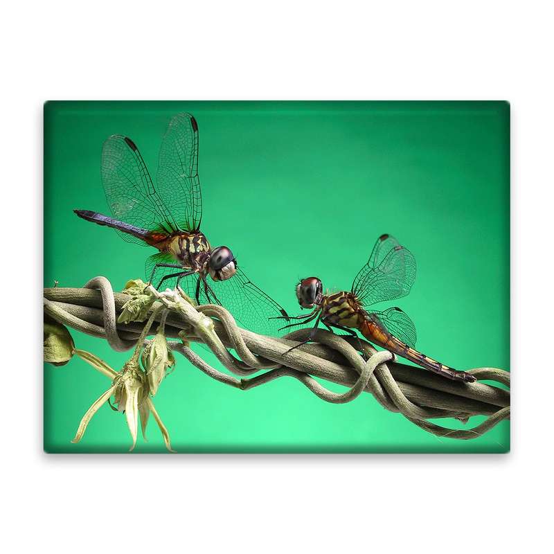 کاشی اطلس آبی مدل T5873