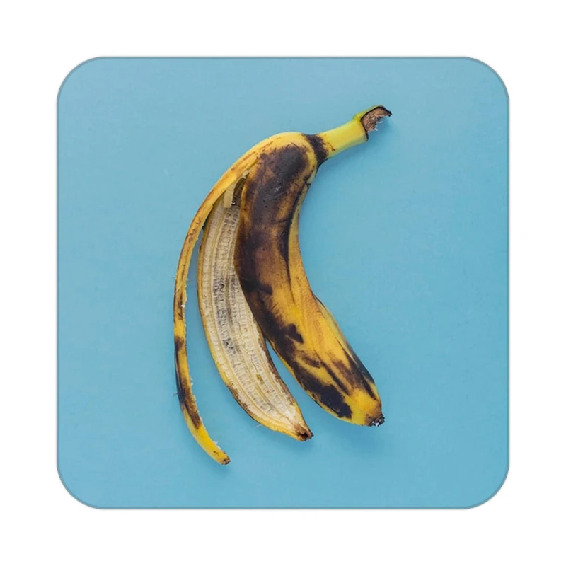 زیر لیوانی کاکتی طرح میوه مدل mp20740