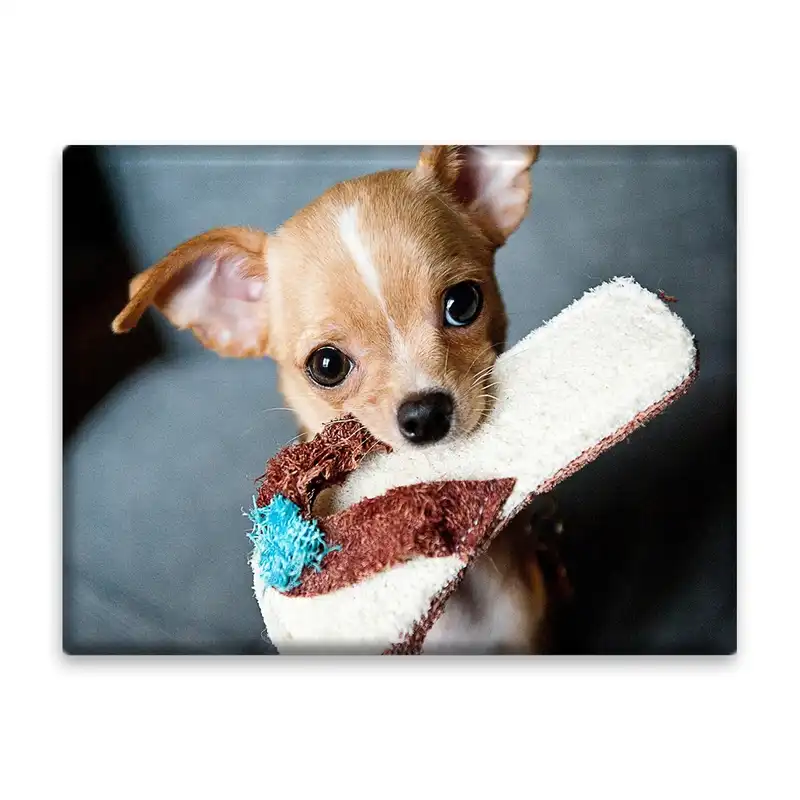 کاشی اطلس آبی طرح سگ و دمپایی مدل T1517