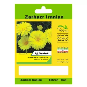 بذر گل همیشه بهار زرد زربذر ایرانیان کد ZBP-118