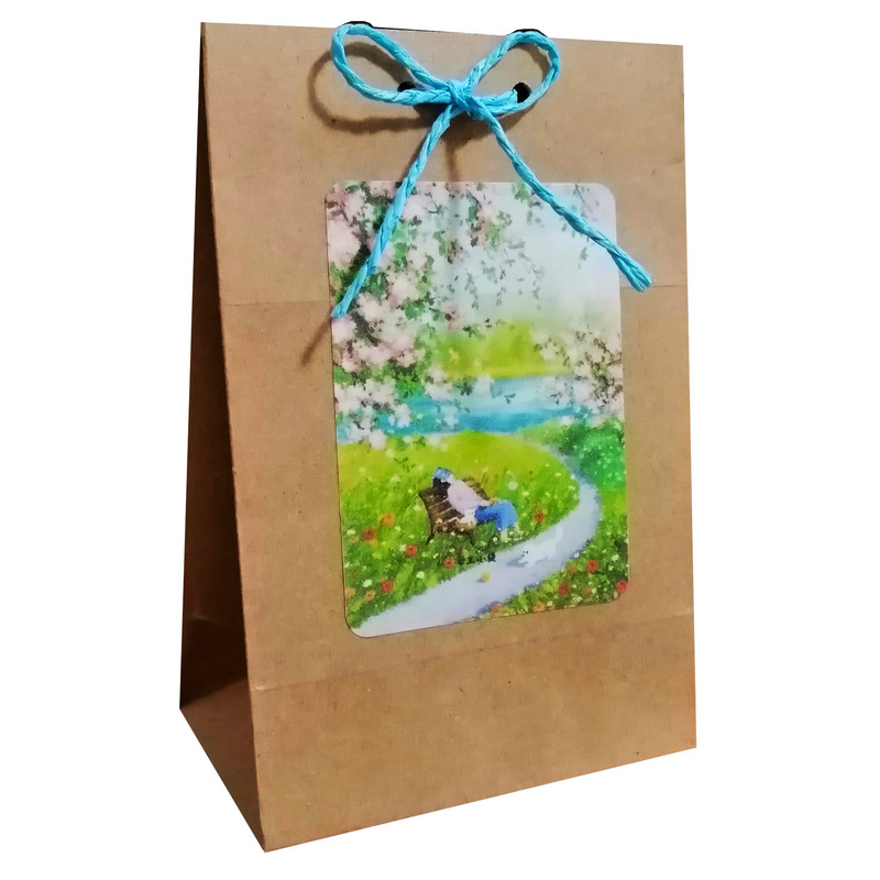 پاکت هدیه مدل نوروز و سال نو مجموعه دو عددی