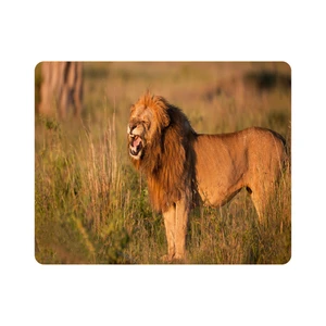 ماوس پد اطلس آبی طرح شیر مدل T7812