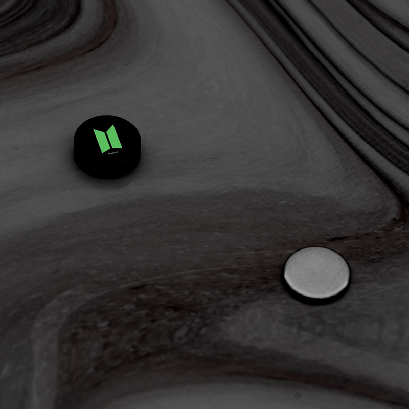 پیرسینگ گوش ناکسیگو مدل شب تاب کد PM7016 پیرسینگ گوش ناکسیگو مدل شب تاب کد PM7016