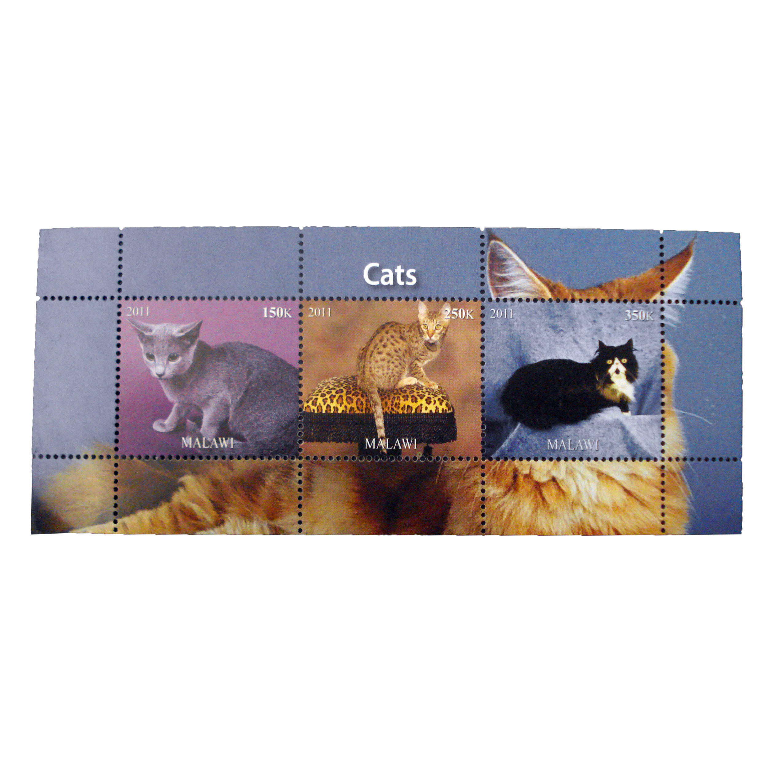 تمبر یادگاری مدل گربه کد bc-1026 مجموعه 3 عددی