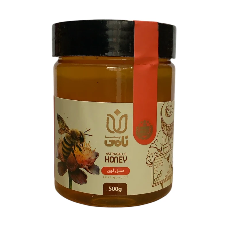 عسل طبیعی گون نامی ایستا - 500 گرم