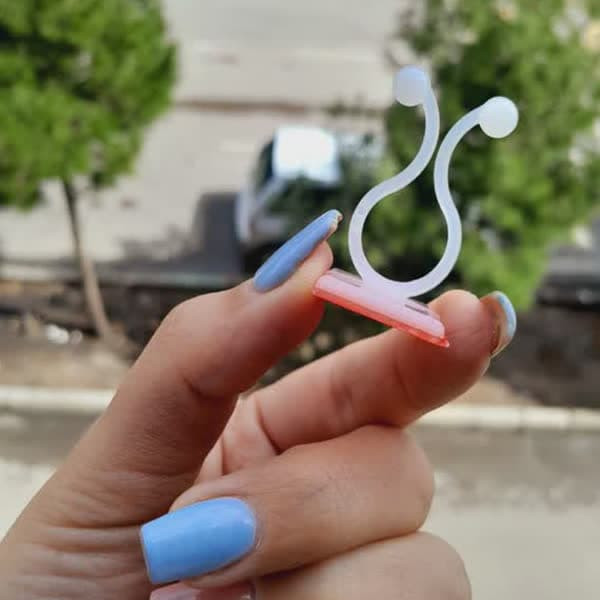 نگهدارنده گیاه مدل پتوس ساده بسته 50 عددی