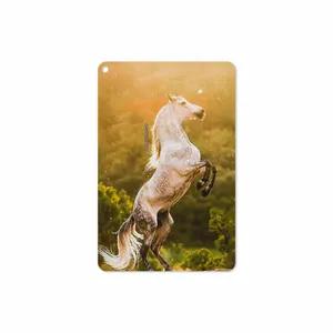MAHOOT Horse-2 Cover Sticker for Apple iPad mini GEN 5 2019 A2133