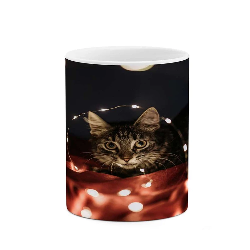 ماگ کاکتی مدل گربه کد mgh16576