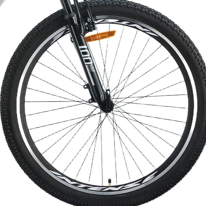 دوچرخه اینتنس مدل Wild Rider سایز 20 کد 2343