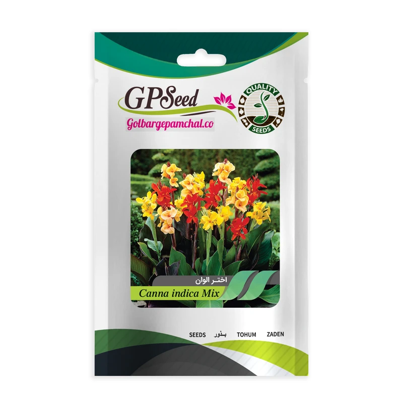 بذر گل اختر گلبرگ پامچال کد GPF-099