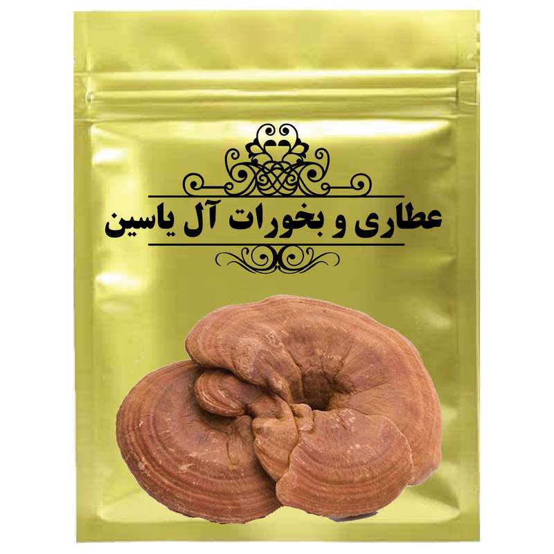 دمنوش گانودرما - 500 گرم
