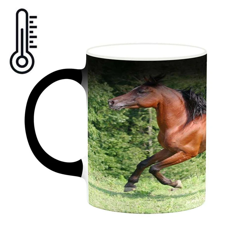 ماگ حرارتی کاکتی مدل اسب کد mgh24156