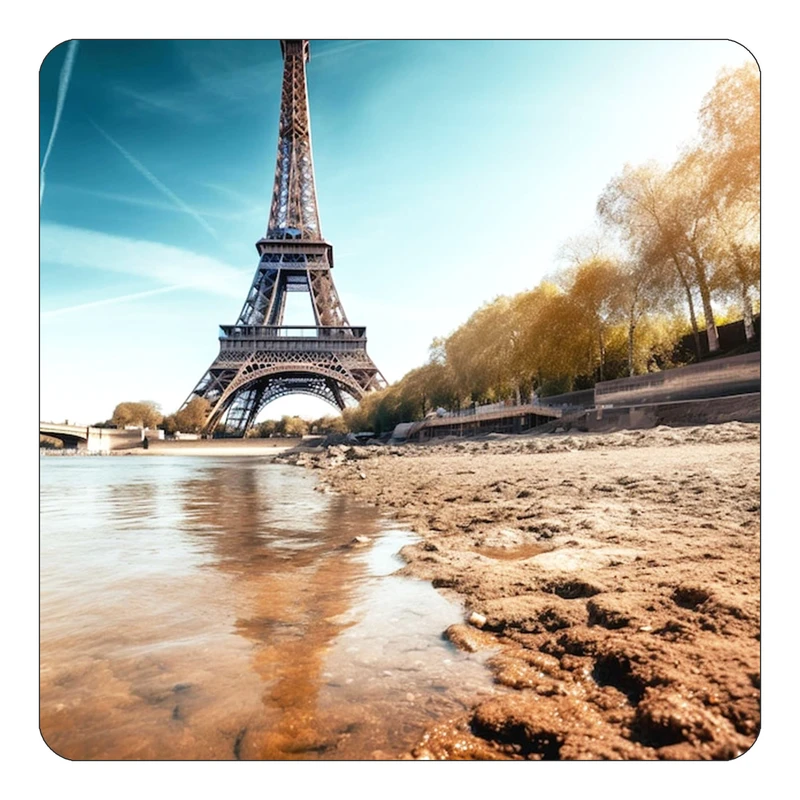 مگنت کاکتی طرح پاریس Paris مدل mp57360