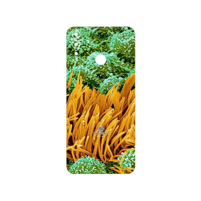 برچسب پوششی ماهوت مدل Atom Universe 6 مناسب برای گوشی موبایل آنر 8C