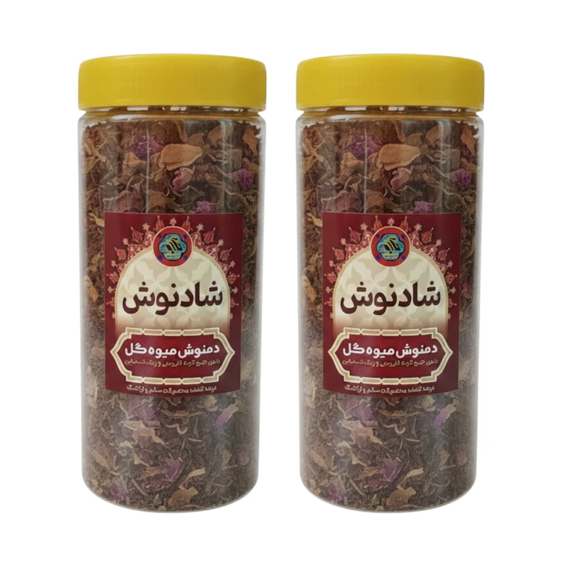 دمنوش میوه ای شادنوش - ۲۰۰ گرم بسته دو عددی