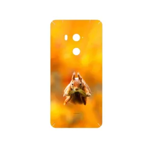MAHOOT Squirrel Cover Sticker for HTC U11 Eyes