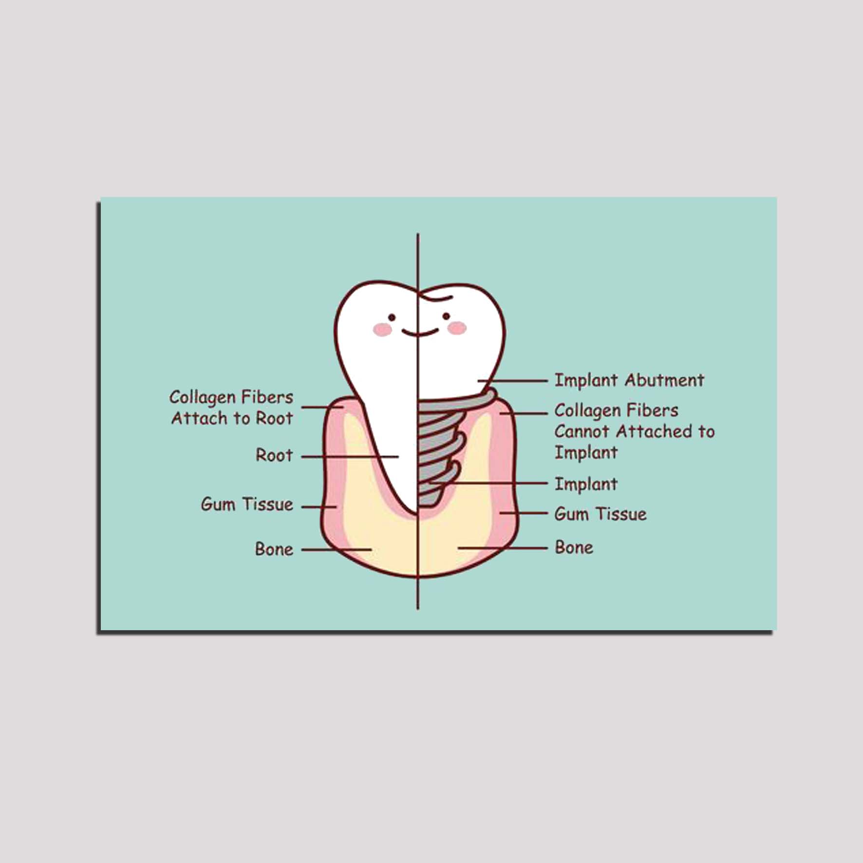 تابلو مدل دندان و دندانپزشکی کد 332