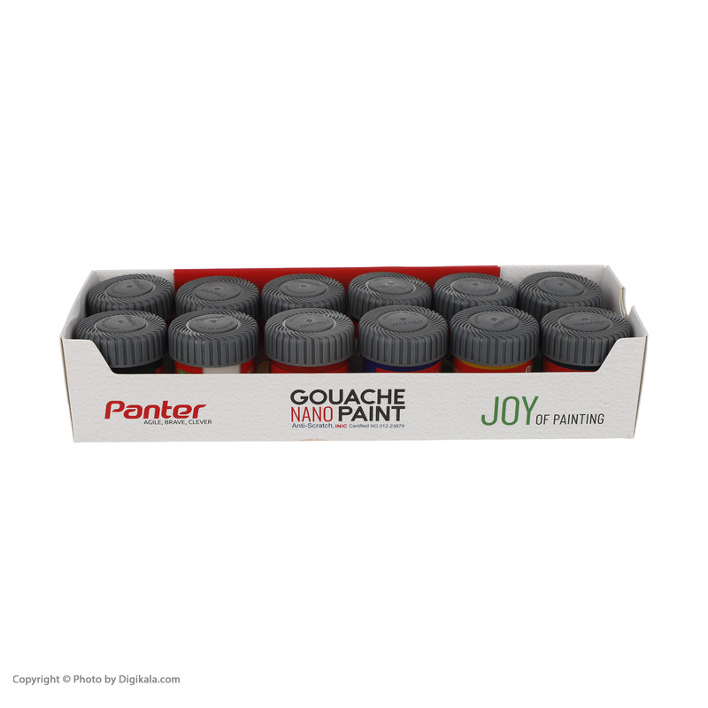 گواش 12 رنگ پنتر کد GP-711-12