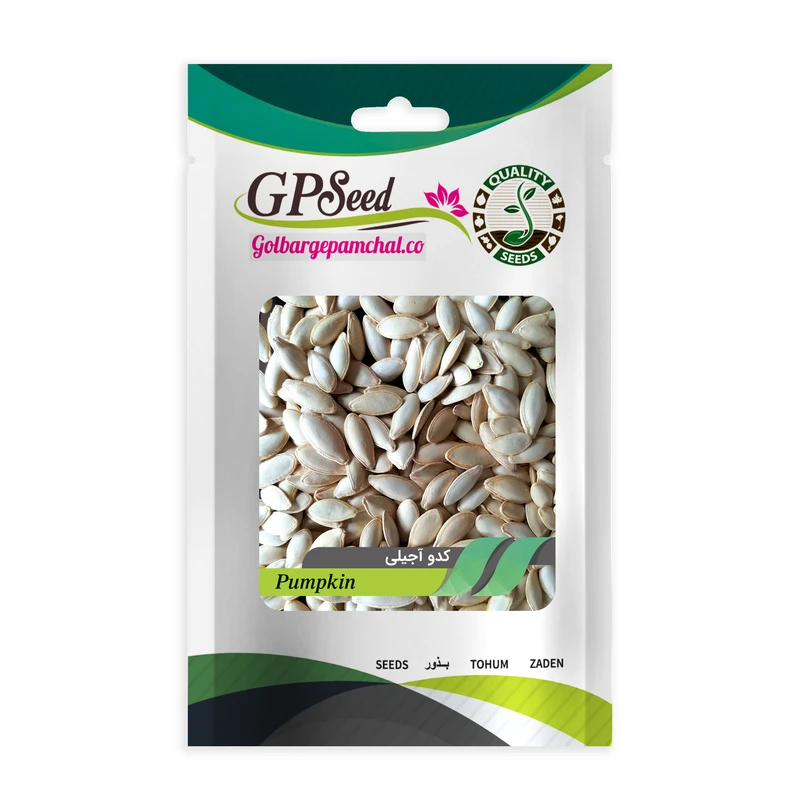 بذر کدو آجیلی گلبرگ پامچال کد GPF-224