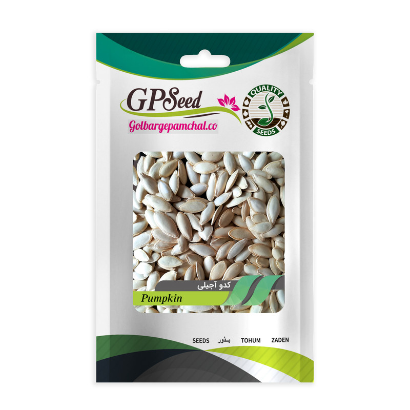 بذر کدو آجیلی جی پی سید مدل GP2371 بذر کدو آجیلی جی پی سید مدل GP2371
