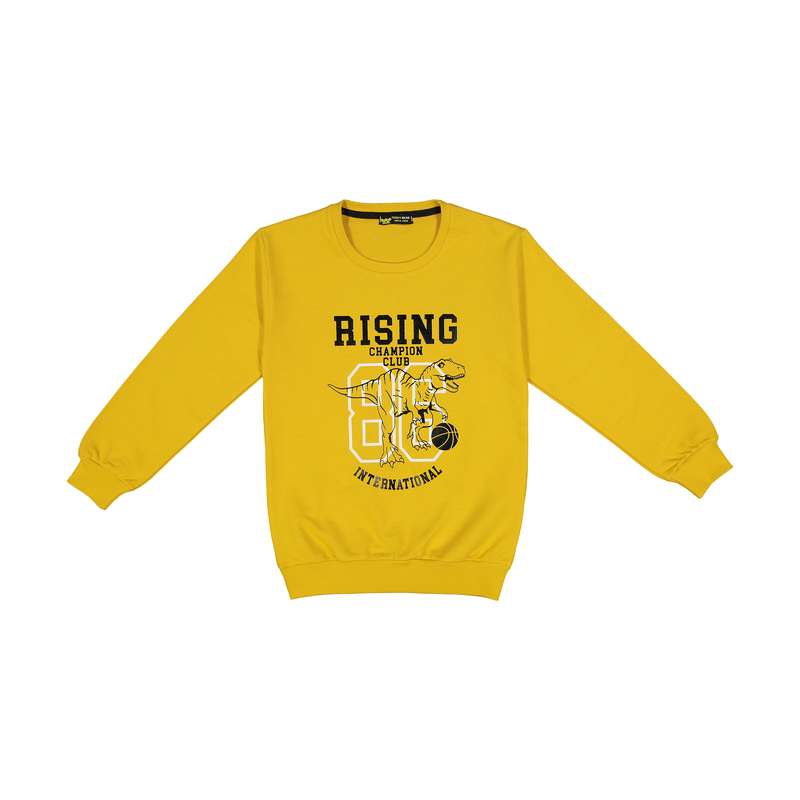 سویشرت پسرانه خرس کوچولو مدل 2011236-16