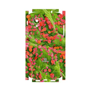 MAHOOT Atom Universe 3-FullSkin Cover Sticker for Google Nexus 5