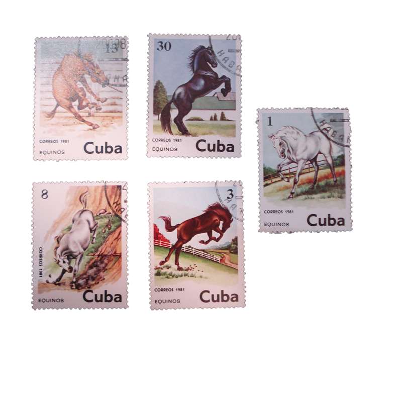 تمبر یادگاری مدل اسب کد DS1561 مجموعه 5 عددی