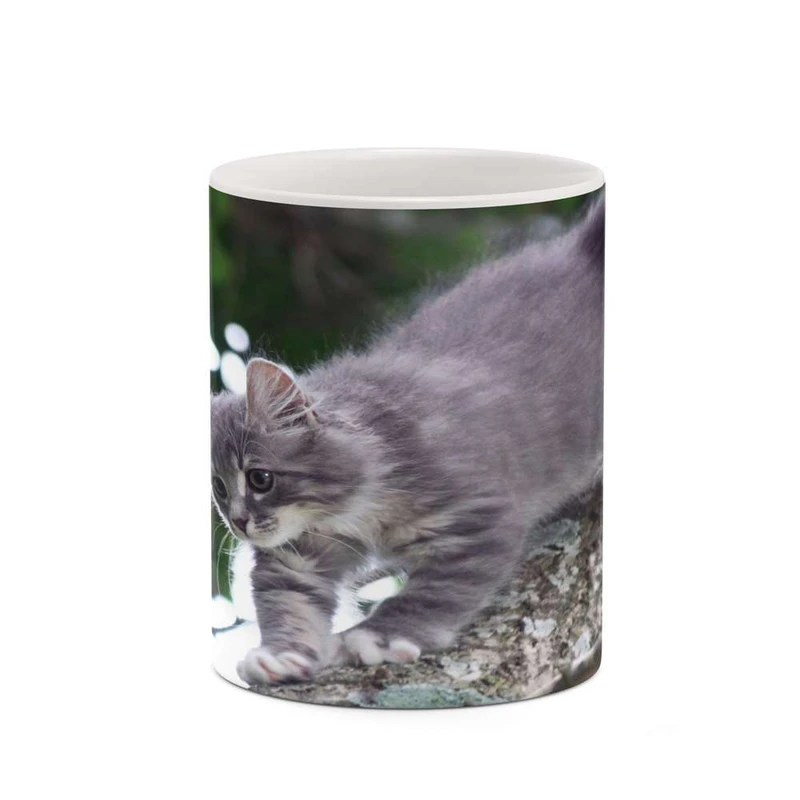 ماگ کاکتی مدل گربه سان کد mgh19258