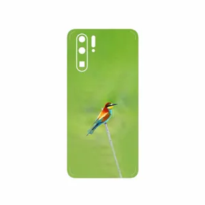MAHOOT European bee-eater Cover Sticker for Huawei P30 Pro