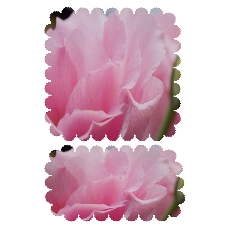 ست رومیزی 2 تکه کد 8100