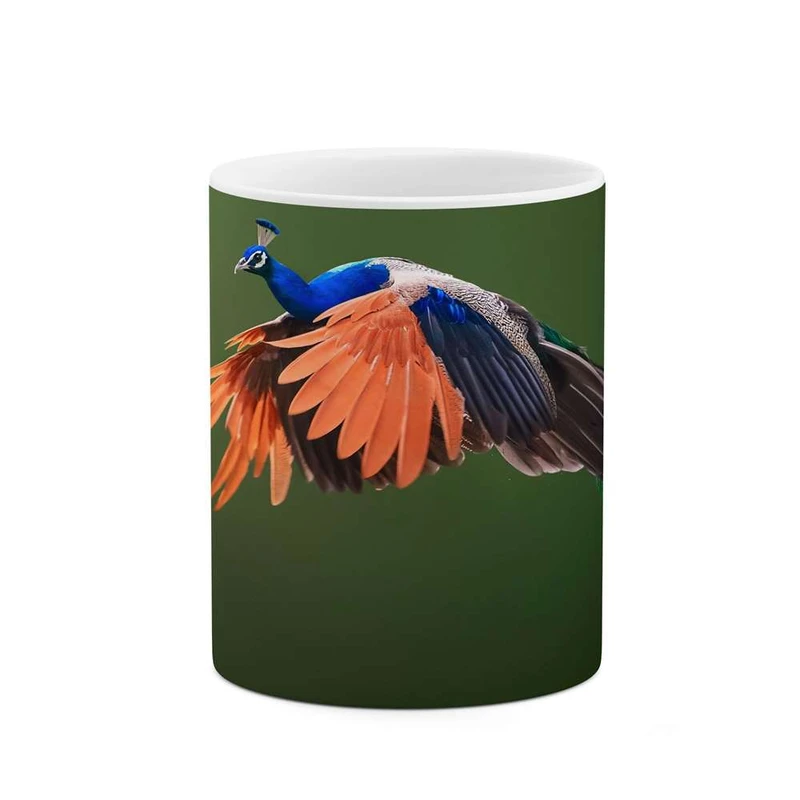 ماگ کاکتی مدل پرنده کد mgh16069