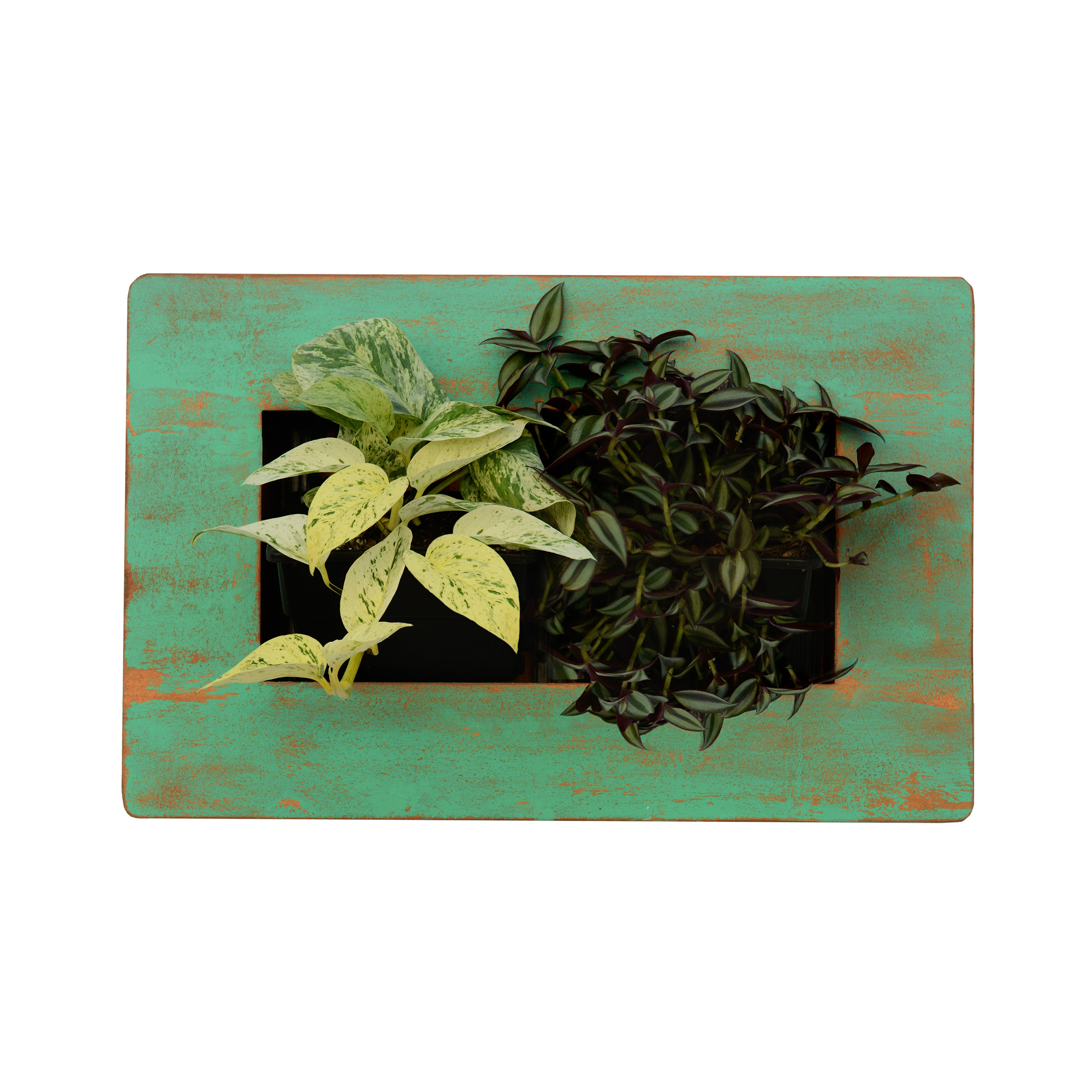 گلدان دیواری طرح قاب گیاهان طبیعی مدل L2 بسته 2 عددی