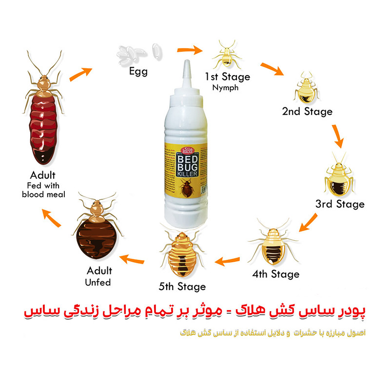 پودر ساس کش هلاک مدل Bed Bug حجم 130 میلی لیتر