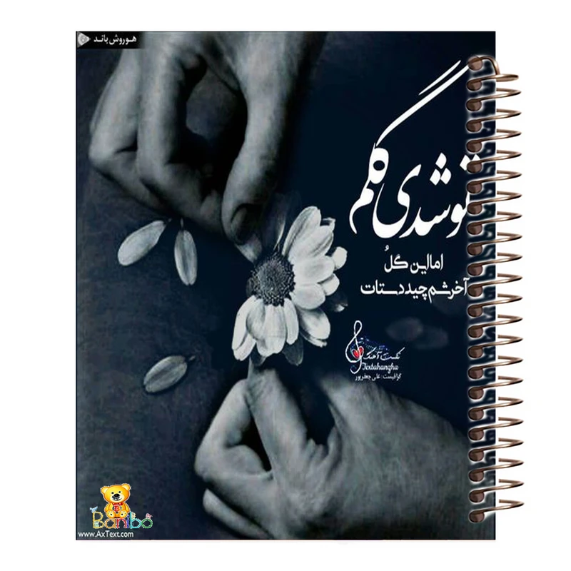 دفتر نقاشی 100 برگ سیمی بانیبو مدل شعر نوشته کد 3630