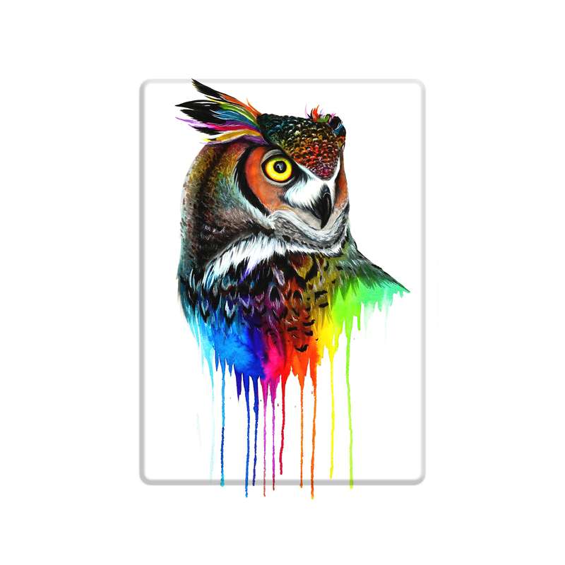 دیوارکوب مدل جغد کد s 2145