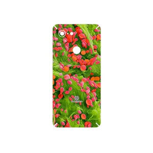 MAHOOT Atom Universe 3 Cover Sticker for Google Pixel 3