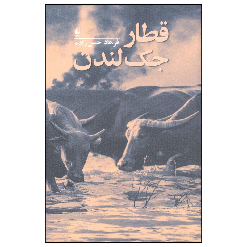 کتاب قطار جک لندن اثر فرهاد حسن زاده نشر افق