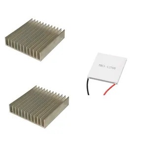 المان خنک کننده ترموالکتریک مدل TC1-12706 به همراه هیت سینک بسته دو عددی